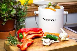 Kitchen Compost Pail Example